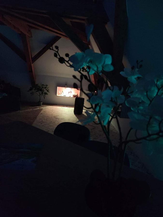 Apartamento Nid De Cigogne Illhaeusern Exterior foto